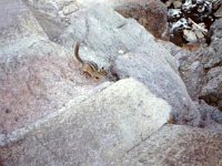 photos 2000-200900330